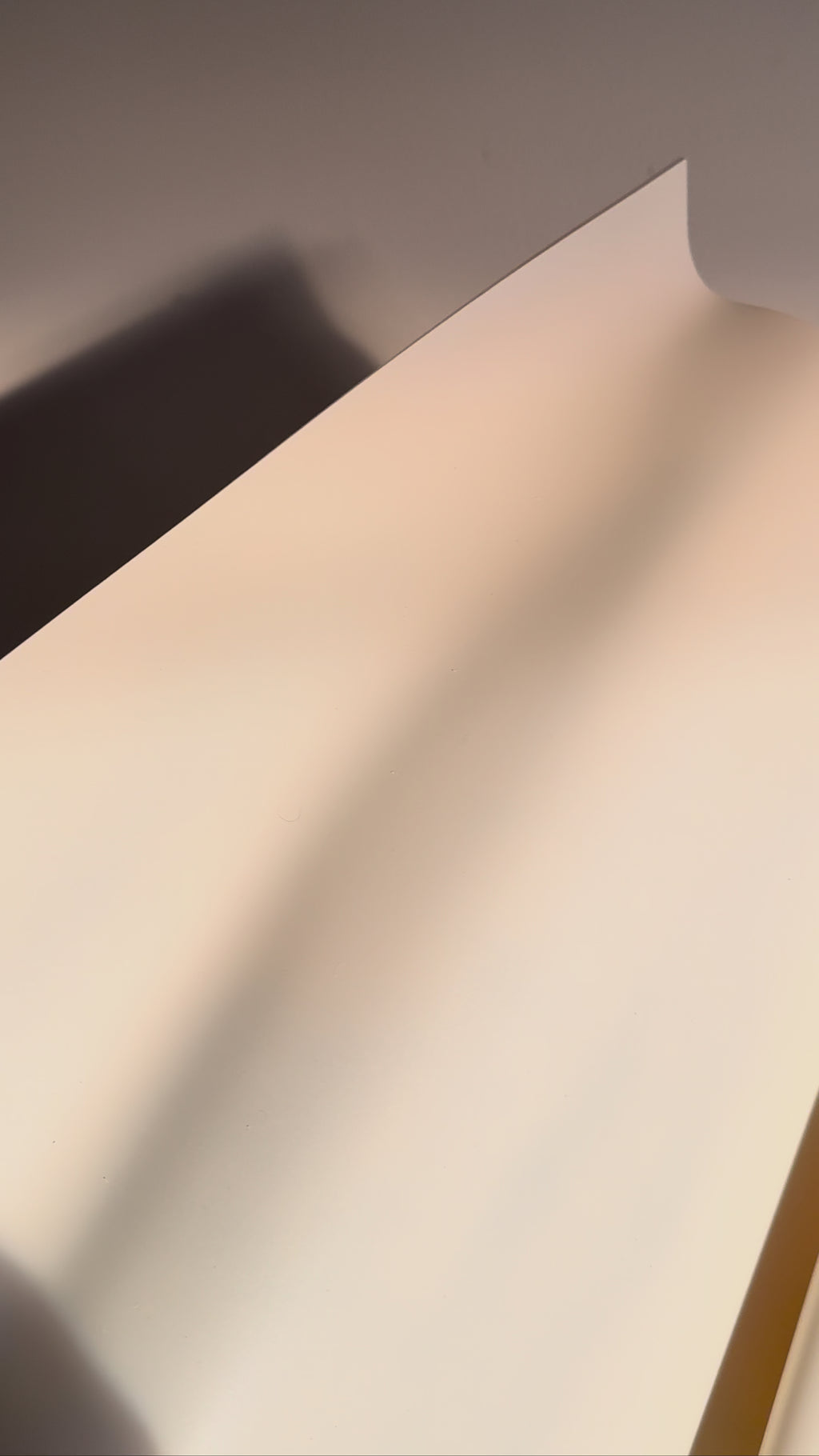 Folded Sculpture 03 - Bone